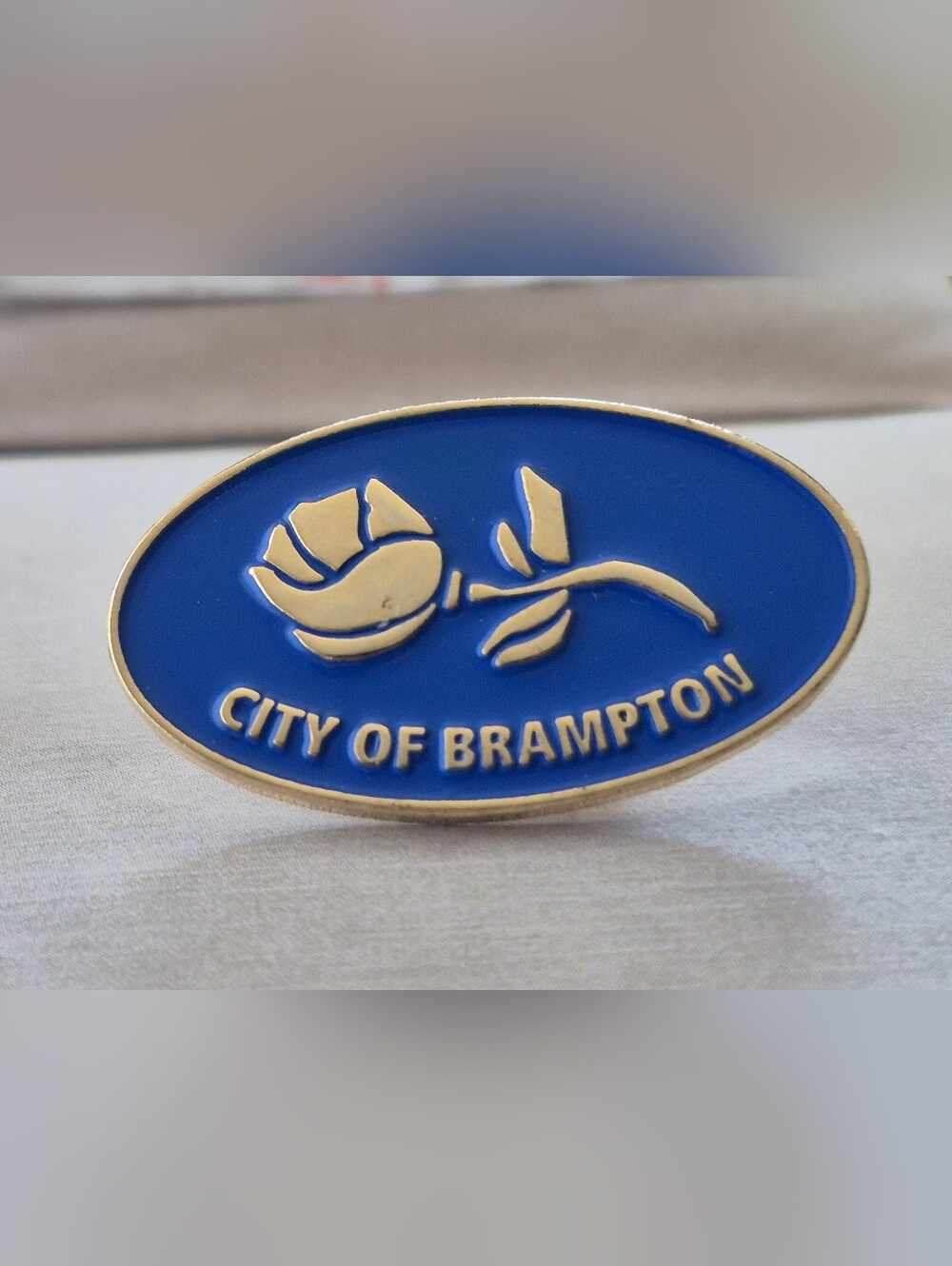 City of Brampton Blue & Gold Enamel Lapel  Pin